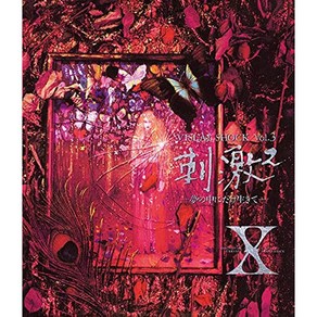 일본 음악 X JAPAN VISUAL SHOCK Vol.3 자극2 꿈속에서만 살아 블루레이