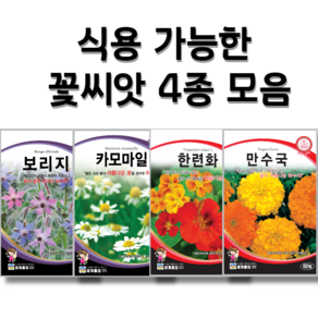 식용 가능 꽃씨앗 4종 한련화 씨앗 카모마일 씨앗 보리지 씨앗 메리골드 씨앗 꽃씨앗 꽃씨몰 꽃씨 봄 여름 가을 사계절 파종 꽃씨, 1개