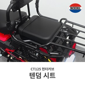 혼다 헌터커브 CT125 리어 텐덤 시트 안장 탈부착 가능 우일, 1개