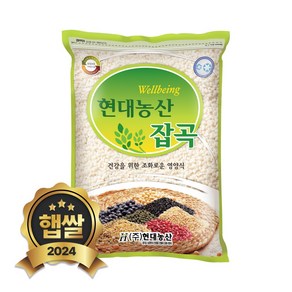 현대농산 국산 찹쌀 2kg, 1개