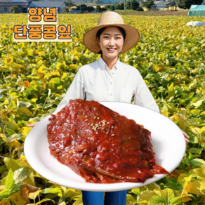 오른푸드 삭힌 양념 단풍콩잎 장아찌 김치, 1개, 600g