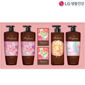 LG선물세트 생활의품격 샴푸앤바디세트 명절선물세트, 1개
