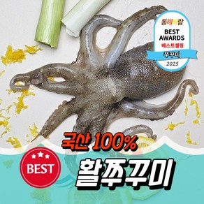 [산지직송]동해바람 자연산 활 쭈꾸미 특품 1kg, 1개, 국산 조업 활 쭈꾸미 1kg