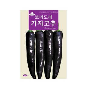 (CN) 보라도리고추 씨앗 (10립), 1개