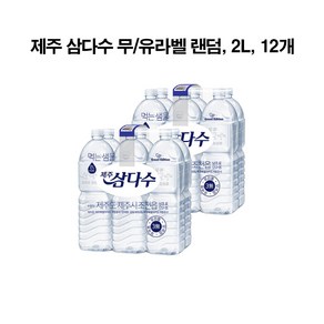 (100% 무라벨) 제주삼다수 2L, 12개