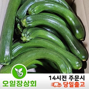 < 오일장상회 > 국내산 쥬키니호박 주키니호박 못난이호박 상등급 3kg 5kg 10kg내외