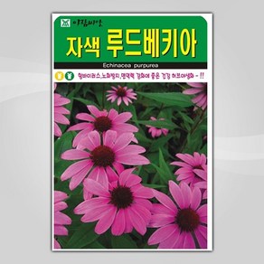 슬로시 꽃 씨앗 고급 꽃씨 야생화 허브씨 종자 모음, 1개