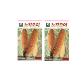 세인화분 노각오이 50립 - 노각 늙은 오이 씨 씨앗, 2개
