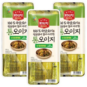 CJ 하선정 통오이지, 3개, 300g