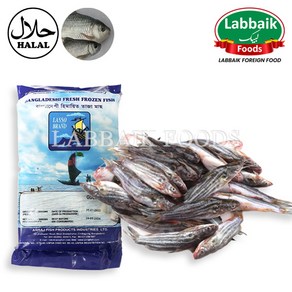 MIRAE Frozen Fresh Gulsha Fish 1kg 신선한 굴샤 피쉬 (방글라데시 산) 생선