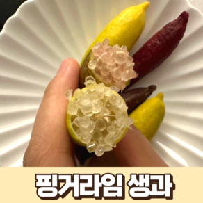 국산 핑거라임 생과 100g 국내산 농장 산지 직송 Finge Lime 캐비아 라임 손가락 라임 시트러스 캐비어, 1개