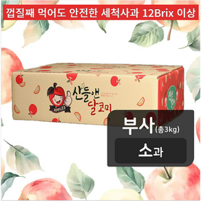 산들앤 달코미 부사 세척사과 소과 1box (총3kg) 고급품종 미시마사과 10월11월수확, 1박스, 3kg