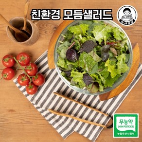 당일작업 친환경 무농약 이탈리안 조각 모듬샐러드 채소, 60g, 1개