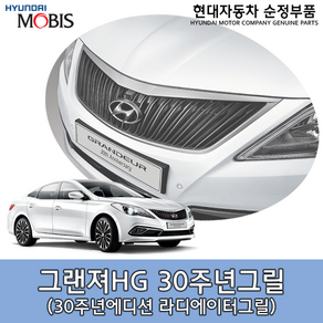 그랜저HG 30주년 라디에이터그릴 / HG 30주년 그릴 / 863503V800 / 863503V810 / 86350 3V800 / 86350 3V810 / 순정부품, 전방카메라 없음(3V800), 1개