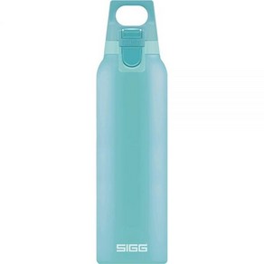 SIGG - Themo Flask Hot & Cold ONE - 단열 물병 - 티 필터 - 누출 방지 - BPA 프리 - 스테인리스 스틸 - 502.8ml(17온스), 481.9g(17온스)