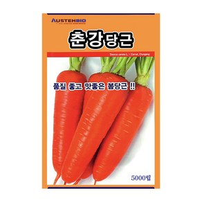 오스템 당근씨앗 춘강당근 5000립, 1개