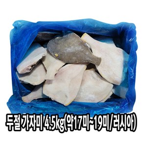 다인 냉동 손질 두절 가자미(약17미) 4.5kg 업소용