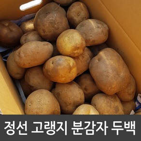 강원도 정선 감자 두백감자 분감자 설봉감자, 1박스, 감자 10kg