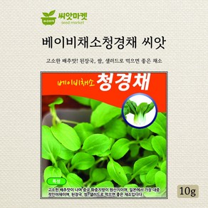 다농 베이비청경채 씨앗 10g, 1개