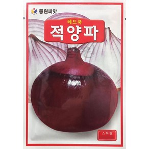 적양파 씨앗 양파 씨앗 양파씨 빨간양파 씨앗 10g, 1개