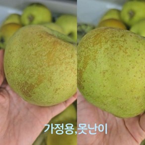 가정용 못난이 시나노골드 예산사과 엔비 사과2kg 3kg 5kg, 2kg, 1개