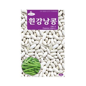 (CN) 흰강낭콩 씨앗 (30g), 1개