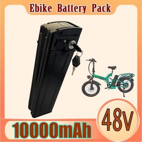 리튬 실버 어류 배터리 팩 이온 350W 1000W 48V 10AH, 01 CHINA, 01 geen