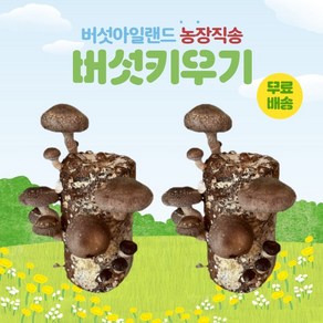 버섯키우기, 표고버섯, 2개