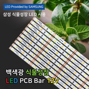 파인라이트 슈퍼팜 LED 식물성장 LED바 조명 백색광 (PCB타입) 국산 삼성LED칩 50cm 식물재배, 슈퍼팜플러스, 1개