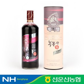 [선운산농협] 베리웰 복분자 진액 지관 세트 (700ml x 1병) / 복분자 농축액 (1set), 700ml, 1개