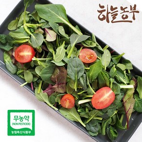 하늘농부 친환경 어린잎 채소 50g 100g, 1개