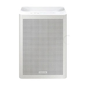 삼성전자 블루스카이 3100 공기청정기 AX033B310GWD 33.1㎡, 그레이지 + 화이트