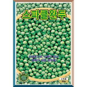 스파클 완두콩 콩씨앗 50g, 1개