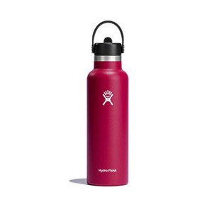 Hydo Flask 테온셀 하이드로플라스크 스탠다드마우스 21oz 클레멘타인 S21SX820 621ml 1개, 스냅퍼