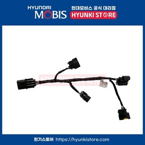 익스텐션 와이어점화 코일 (273502B000) 아반떼HD 엑센트 I30 I30CW 아반떼 하이브리드, 1개