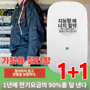 1+1가정용 절전왕 저전력전기절감기 고성능전기절감기 전압 변동 상시 감지/보호 및 평형 전류, 절전기, 2개