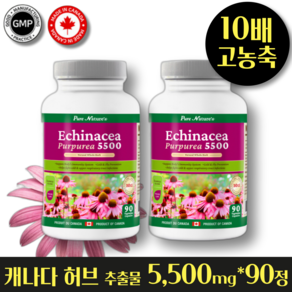 헬시마트 캐나다 감기 비염 염증에 좋은 천연항생제 10배 고 농축 5500mg 최고함량 면역력 높이는 기침 가래 콧물 기관지염 항암 항염 암환자 영양제, 2개, 90정