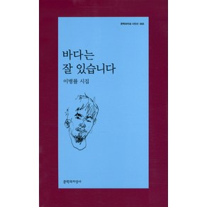 바다는 잘 있습니다:이병률 시집