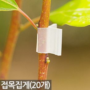 접목클립 x 20개 - 접목집게 클립 식물 채소 야채 가지 접붙이기 접목 고정 집게 모종 원예 용품 이식 도구 크립, 02_Sein_접목집게(3mm)_20개