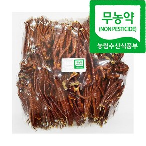 문상영버섯농장 녹각영지버섯 실속형 1kg, 1개