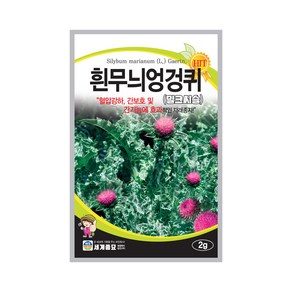 흰무늬엉겅퀴 씨앗 2g 밀크씨슬 씨앗 재래종 세계종묘, 1개