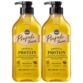 엘라스틴 프로폴리테라 안티에이징 가늘고 힘없는 모발용 샴푸, 500ml, 2개