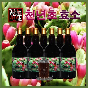 장녹원 천년초효소 1100ml, 1.1L, 1개