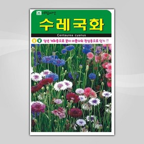 슬로시 꽃 씨앗 고급 꽃씨 야생화 허브씨 종자 모음, 1개