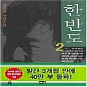 한반도.전2권완결 /김진명