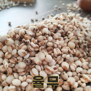 밥보야 24년산 국산 율무 율무쌀 500g 율무밥, 1개