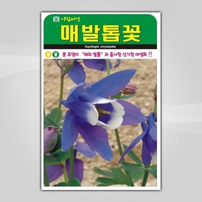 슬로시 꽃 씨앗 고급 꽃씨 야생화 허브씨 종자 모음, 1개