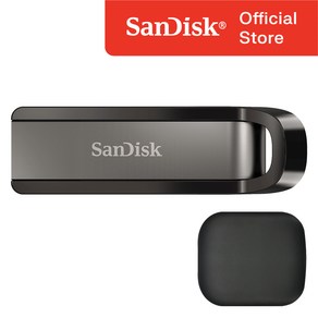 샌디스크 USB 메모리 CZ810 대용량 3.2 / USB 보관 케이스, 256GB