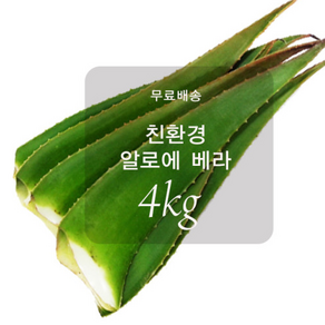 [무료배송]유기농 알로에 베라 4kg/, 4kg, 1개