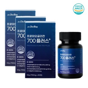 콘드로이친 프로테오글리칸 700 플러스 2형콜라겐 700mg*60, 3개, 60정